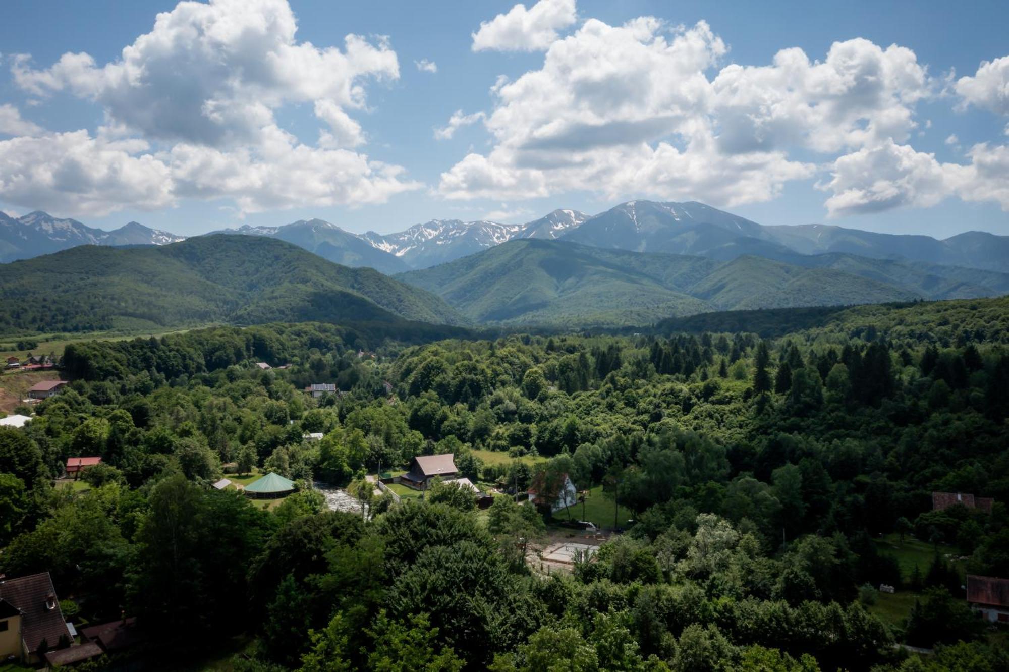 Evergreen Chalet Avrig Ngoại thất bức ảnh